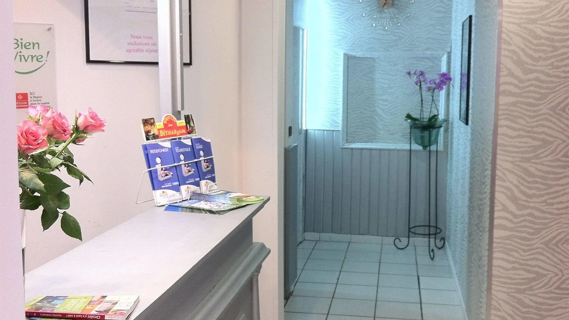 Hotel Aux Armes De Belgique Lourdes